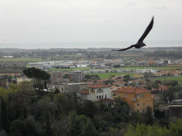 Al Castello Bed and Breakfast Tarquinia Eksteriør billede